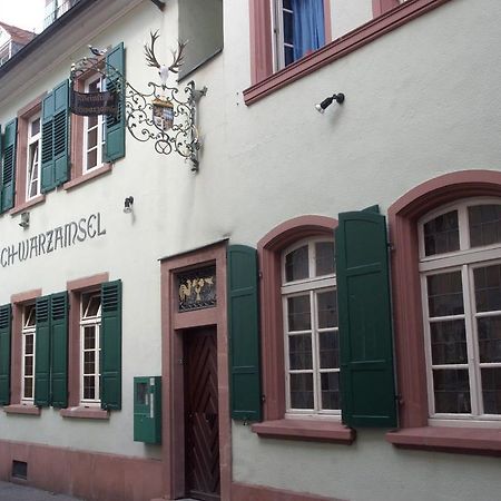 Appartamento Weinstube Schwarzamsel Speyer Esterno foto