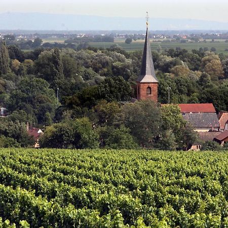 Appartamento Weinstube Schwarzamsel Speyer Esterno foto