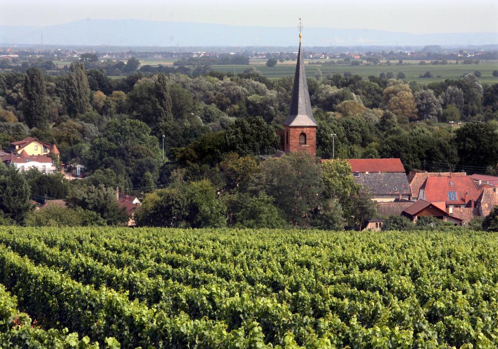 Appartamento Weinstube Schwarzamsel Speyer Esterno foto