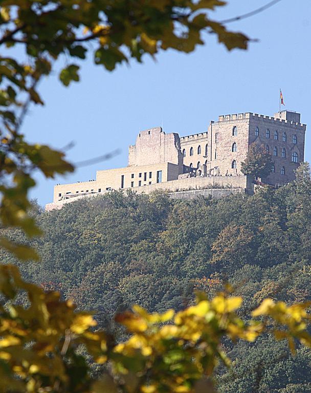 Appartamento Weinstube Schwarzamsel Speyer Esterno foto