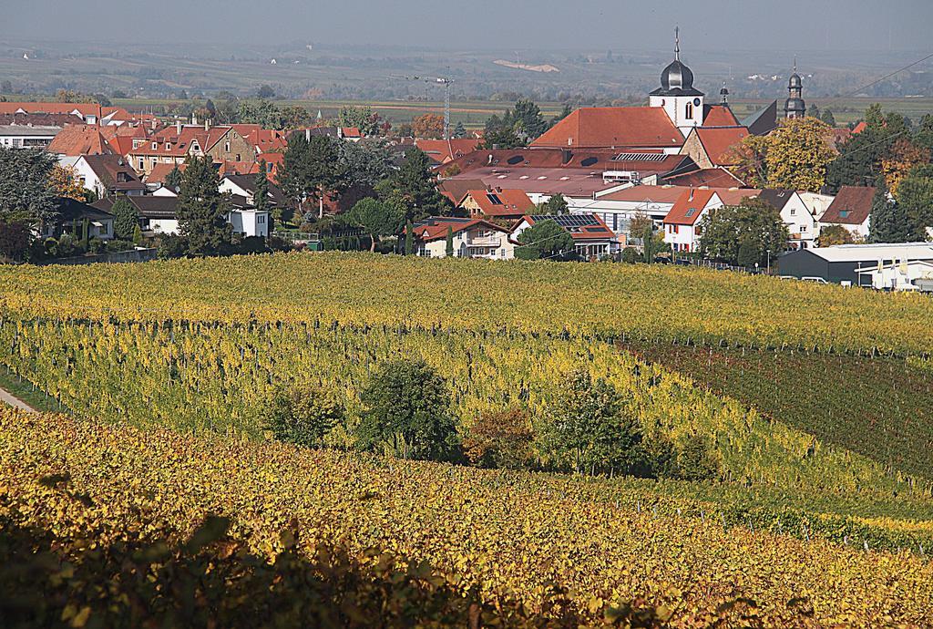 Appartamento Weinstube Schwarzamsel Speyer Esterno foto