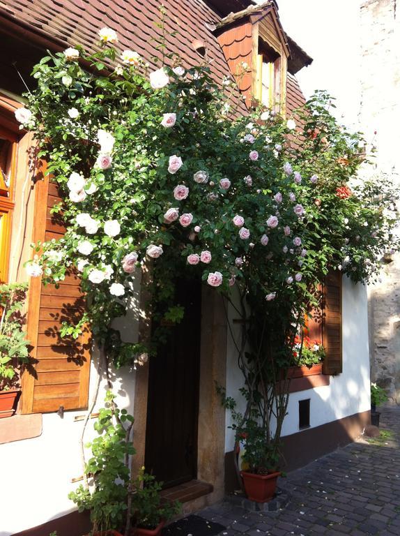 Appartamento Weinstube Schwarzamsel Speyer Esterno foto